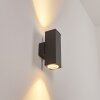 OATLANDS Outdoor Wall Light anthracite, white, 2-light sources