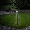 Brilliant ILTON outdoor floor lamp LED black, 1-light source