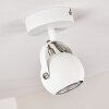 GADMEN Ceiling Light chrome, white, 1-light source