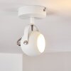 GADMEN Ceiling Light chrome, white, 1-light source