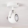 GADMEN Ceiling Light chrome, white, 1-light source
