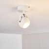 GADMEN Ceiling Light chrome, white, 1-light source