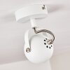 GADMEN Ceiling Light chrome, white, 1-light source