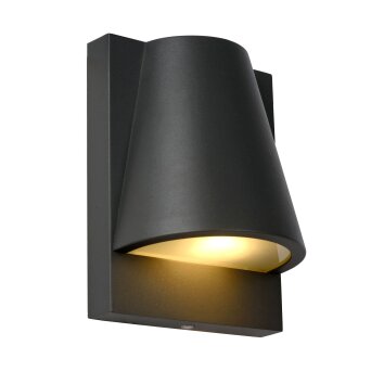Lucide LIAM Outdoor Wall Light anthracite, 1-light source