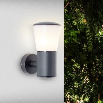 Brilliant CLIFFI Outdoor Wall Light anthracite, 1-light source