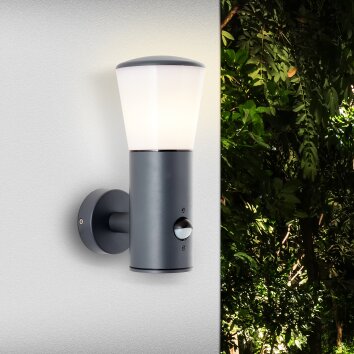Brilliant CLIFFI Outdoor Wall Light anthracite, 1-light source, Motion sensor