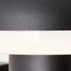 Brilliant ILTON Outdoor Wall Light LED black, 1-light source, Motion sensor