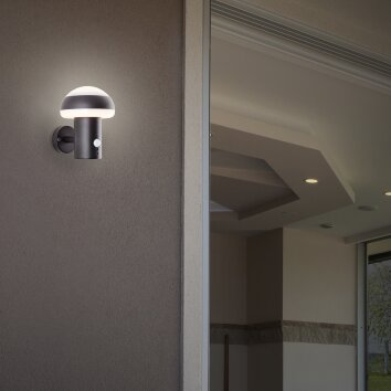 Brilliant ILTON Outdoor Wall Light LED black, 1-light source, Motion sensor