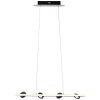 Brilliant NEBEKER Pendant Light LED black, 4-light sources, Remote control