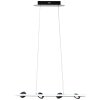 Brilliant NEBEKER Pendant Light LED black, 4-light sources, Remote control