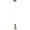 Brilliant CARLSON Pendant Light LED black, 1-light source