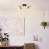 Brilliant NORAH Ceiling Light black, 2-light sources