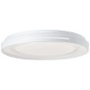 Brilliant BARTY Ceiling Light LED chrome, white, 1-light source, Remote control