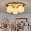 PINTACURA Ceiling Light brass, 3-light sources