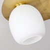 PINTACURA Ceiling Light brass, 3-light sources