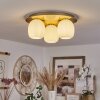 PINTACURA Ceiling Light brass, 3-light sources