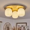 PINTACURA Ceiling Light brass, 3-light sources