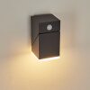 TOOGONG Outdoor Wall Light LED anthracite, 1-light source, Motion sensor