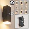 TOOGONG Outdoor Wall Light LED anthracite, 2-light sources, Motion sensor