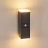 TOOGONG Outdoor Wall Light LED anthracite, 2-light sources, Motion sensor