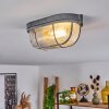 CHAQUIRE Ceiling Light grey, 1-light source