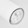 JAVEL Ceiling Light chrome, white, 4-light sources