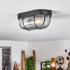 QUINTAY Ceiling Light black, 1-light source