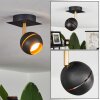 TOME Ceiling Light LED brass, black, 1-light source