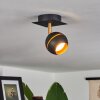 TOME Ceiling Light LED brass, black, 1-light source
