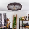 AGUEDA Ceiling Light copper, matt nickel, black, 1-light source