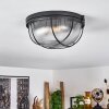 QUINTAY Ceiling Light black, 1-light source