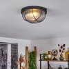 QUINTAY Ceiling Light black, 1-light source