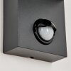 KINGSTOWN Outdoor Wall Light anthracite, transparent, clear, 1-light source, Motion sensor