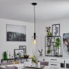 MIAQUI Pendant Light black, 1-light source