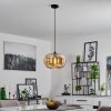 COLLANCO Pendant Light black, 1-light source