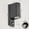 KINGSTOWN Outdoor Wall Light anthracite, transparent, clear, 2-light sources, Motion sensor