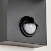 KINGSTOWN Outdoor Wall Light anthracite, transparent, clear, 2-light sources, Motion sensor