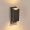 KINGSTOWN Outdoor Wall Light anthracite, transparent, clear, 2-light sources, Motion sensor