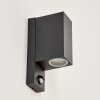 KINGSTOWN Outdoor Wall Light anthracite, transparent, clear, 2-light sources, Motion sensor