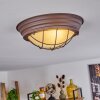 COLTAUCO Ceiling Light rust-coloured, 1-light source