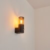 CARAGUA Outdoor Wall Light anthracite, 1-light source, Motion sensor