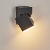 TOOGONG Outdoor Wall Light LED anthracite, 1-light source