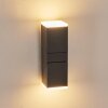 TOOGONG Outdoor Wall Light LED anthracite, 2-light sources