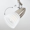 CHAPOD Ceiling Light LED matt nickel, 3-light sources
