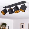 Ceiling Light Alsen black, 4-light sources
