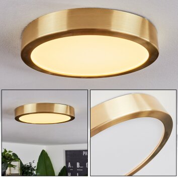Finsrud Ceiling Light LED gold, 1-light source