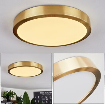 Finsrud Ceiling Light LED gold, 1-light source