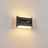 Ramalheira Outdoor Wall Light LED anthracite, 1-light source
