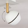 Tome Ceiling Light LED brass, white, 4-light sources