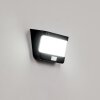 Colchagua solar wall lamp LED black, white, 1-light source, Motion sensor